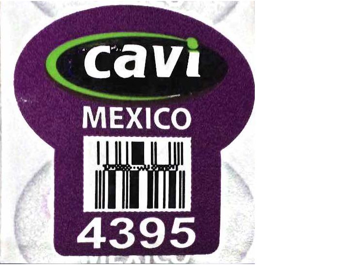 cavi-brand-papaya.png