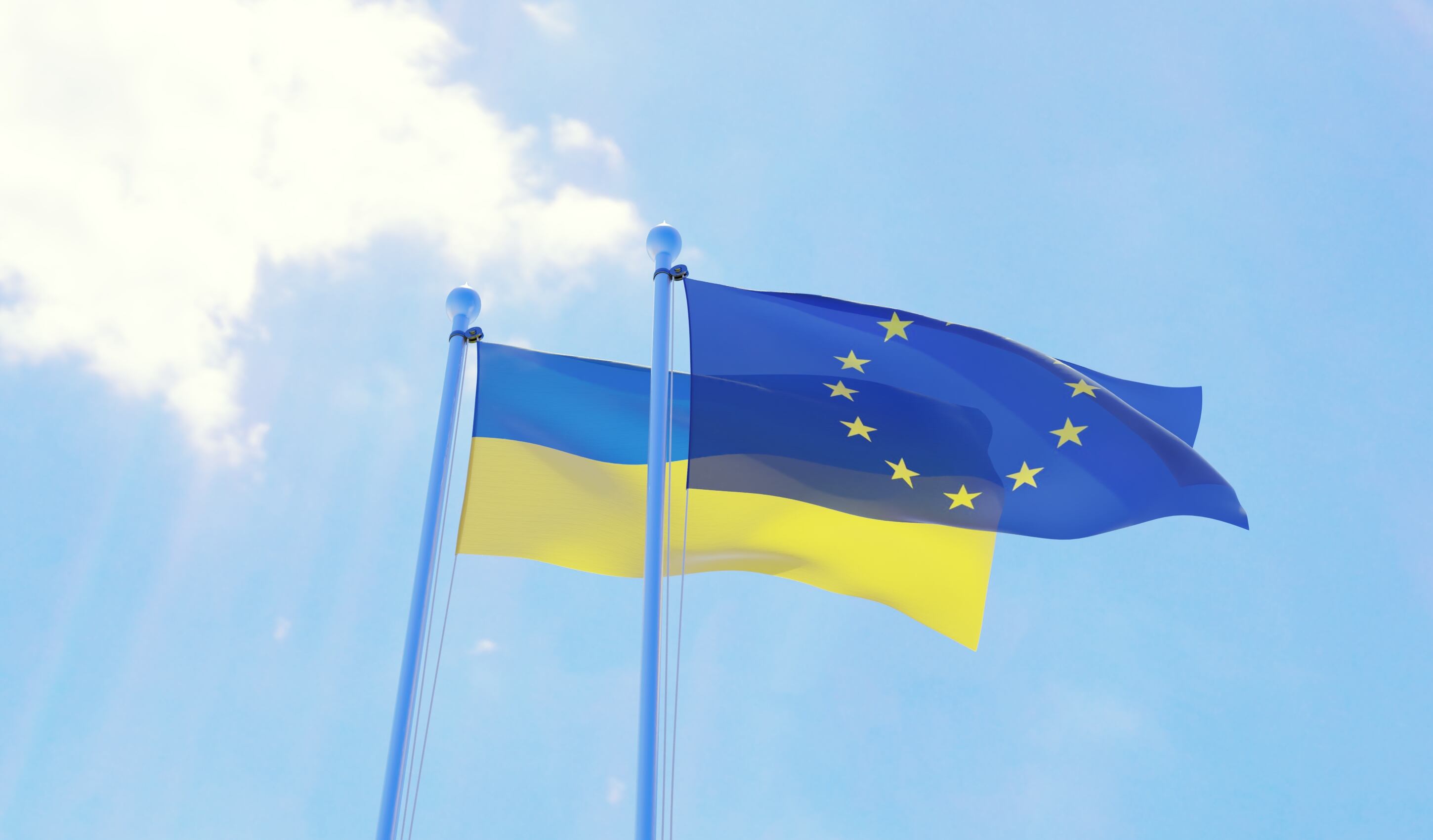 EU suspends Ukraine poultry imports over avian flu fears
