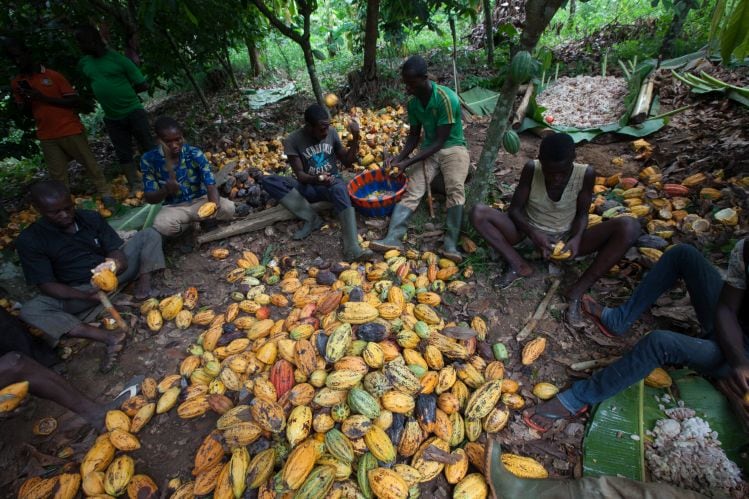 Fairtrade-America-We-need-to-get-more-brands-on-board-to-drive-impact.jpg