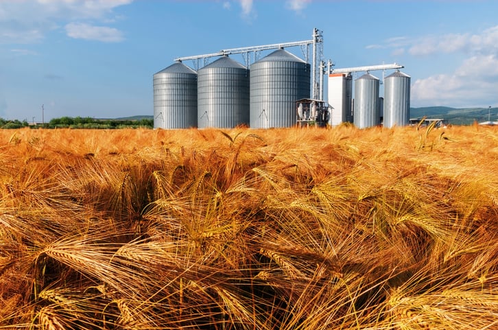 Ardent Mills seeks to expand in fast-growing gluten-free, specialty grains with potential Firebird Artisan Mills deal