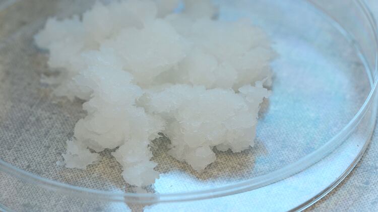 Fibrillierte-Cellulose.png