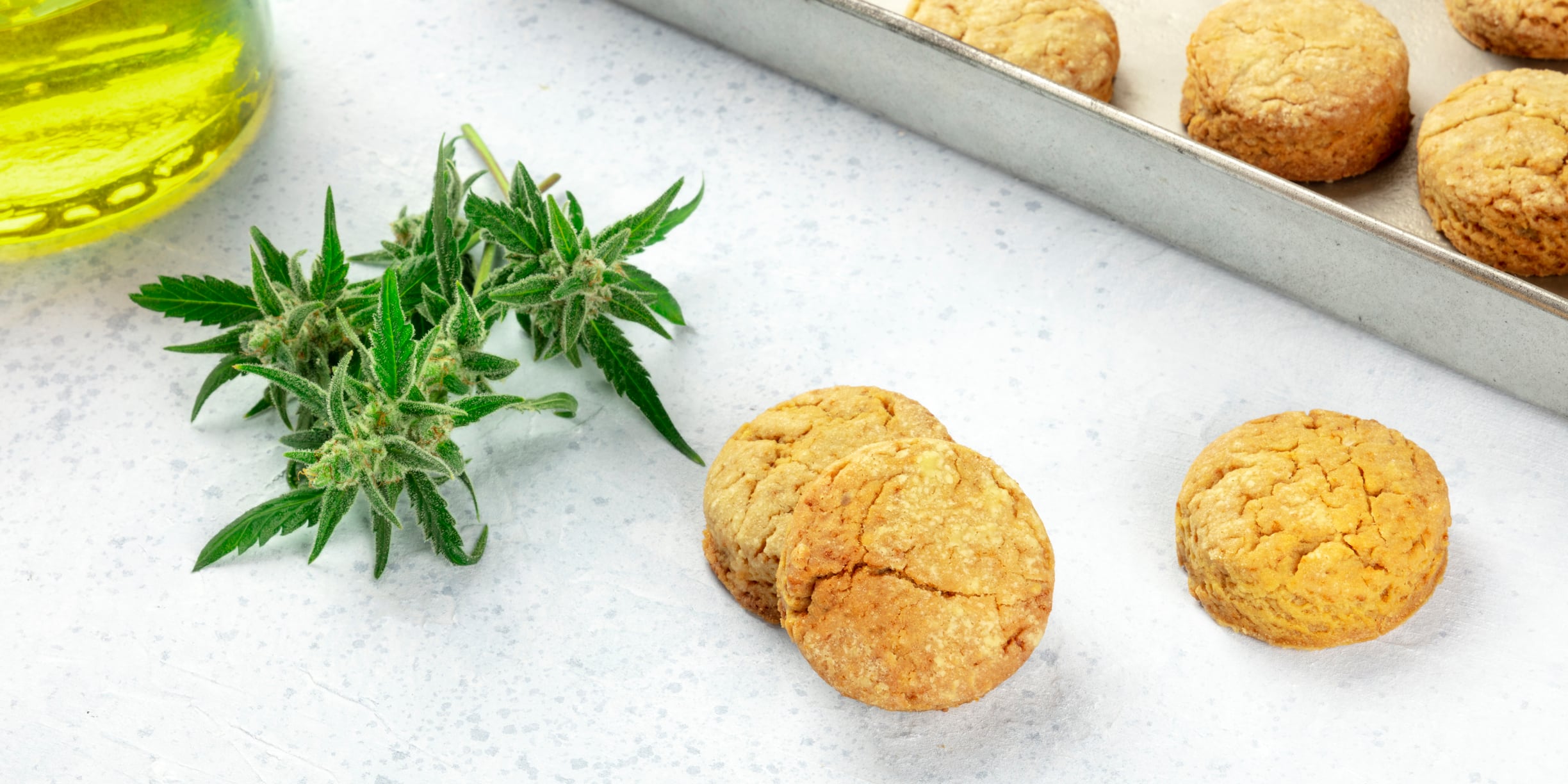 ‘It will be included in a lot of products as a superfood’: Alphagreen discusses CBD trends