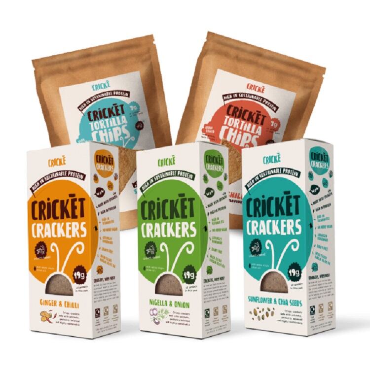 Insect-based savoury snacks