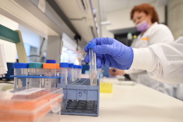Hybrid yogurt uses cell-cultured milk fat for improved taste and nutrition