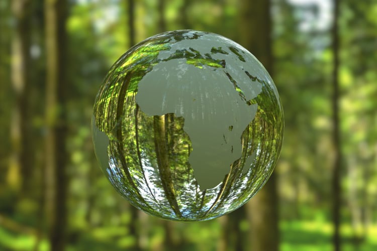 FAO and MEPs issue call to action on food systems transformation: ‘We urgently need to do things differently’