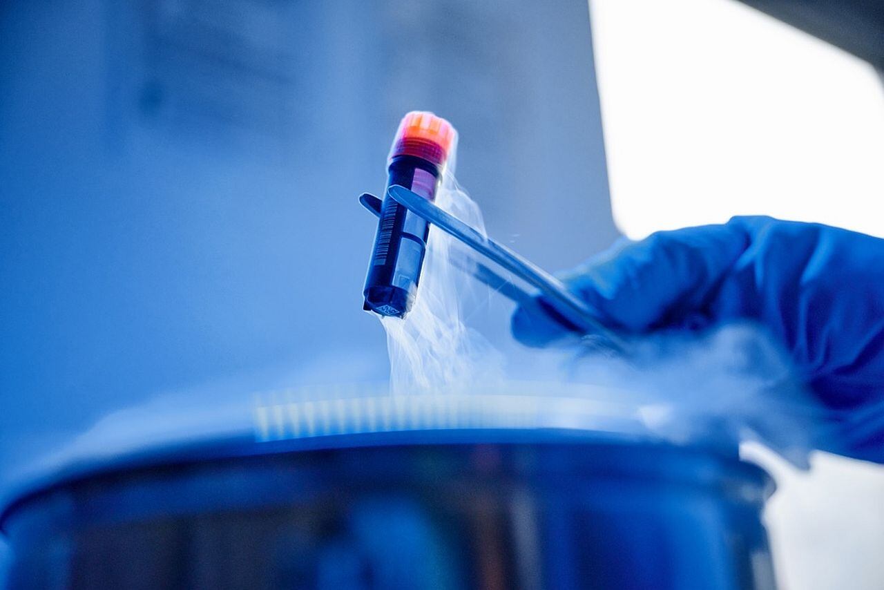 R-D-for-cell-based-fish_copyright-Bluu-Biosciences.jpg
