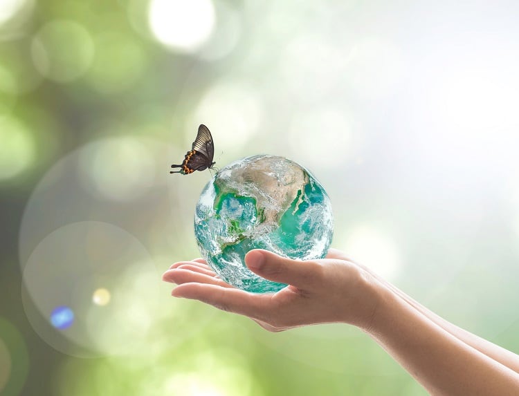 What impact does diet have on biodiversity loss?