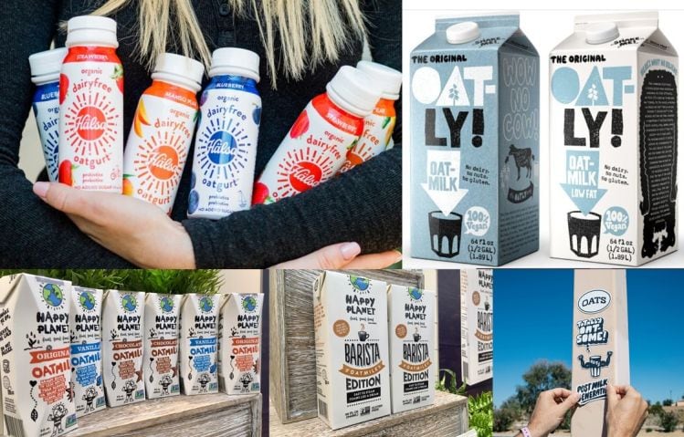 Oatmilk-update-Haelsa-Oatgurt-secures-listings-at-Costco-Oatly-gears-up-for-NJ-plant-opening-Happy-Planet-unveils-new-SKUs.jpg