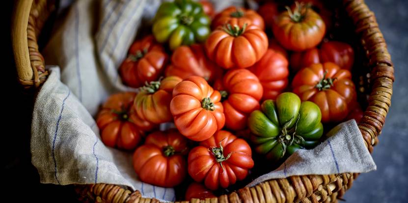Italy Pomodoro di Pachino