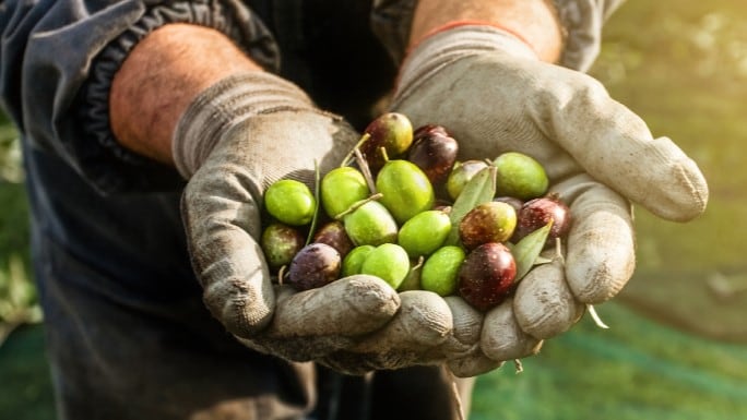 How the EU is future-proofing food systems