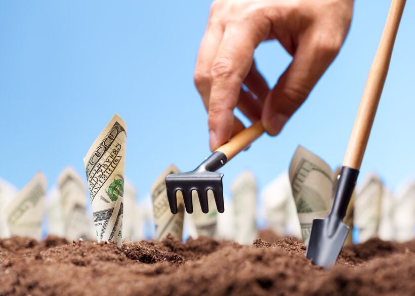 US-dollars-growing-Nomadsoul1.jpg