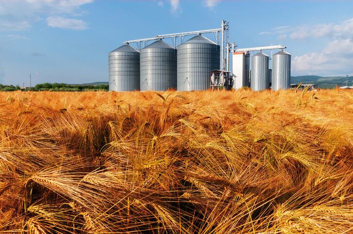 Ardent-Mills-seeks-to-expand-in-fast-growing-gluten-free-specialty-grains-with-potential-Firebird-Artisan-Mills-deal.jpg
