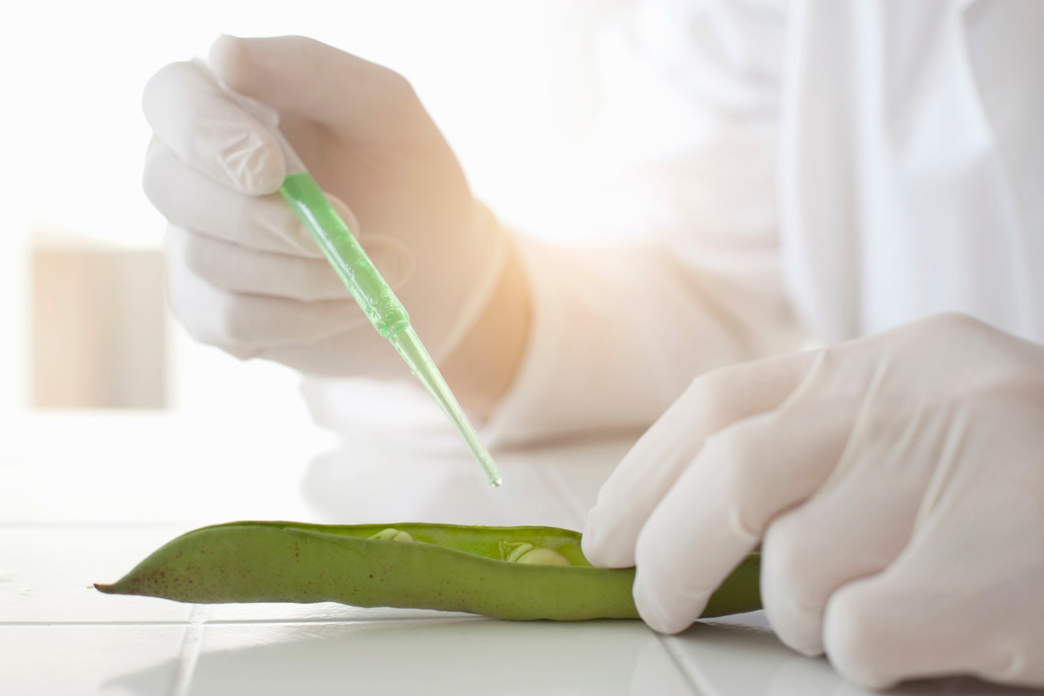 Pea protein is among the alternative protein sources being explored as part of the future food landscape.