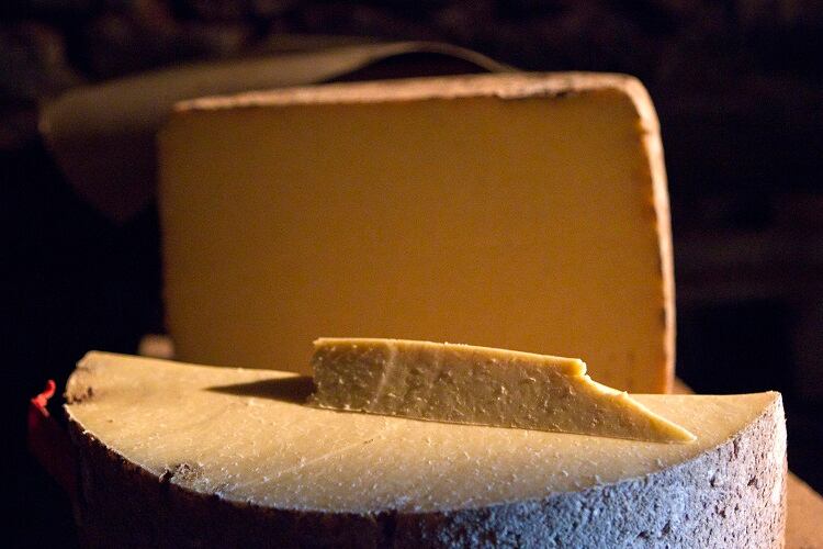 Production of AOP Salers cheese suspended in France due to drought