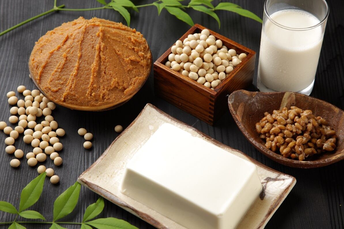 Equinom delivers 'game-changing' non-GMO soy with 50% more protein