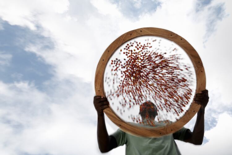 Inside Nescafé’s CHF1bn regenerative agriculture drive: 'The urgency to act is now' 