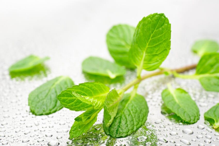 Mint_istock_free.jpg