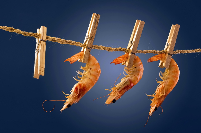 how to remove sodium tripolyphosphate from shrimp