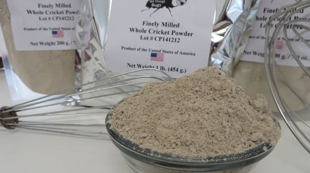 All Things Bugs cricket flour
