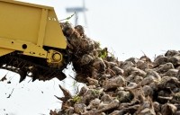 Beeten? The cane sugar sector says it has been dumped upon by the EU sugar quota debate which has centred on sugar beet growers and refiners