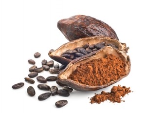 cocoa pod beans powder