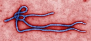 ebola - cdc