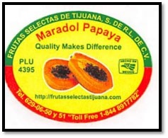 bravo maradol papaya