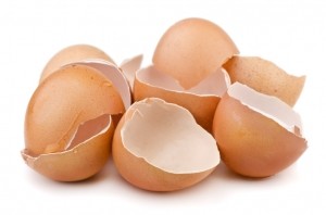 eggs egg shells ingredient baking