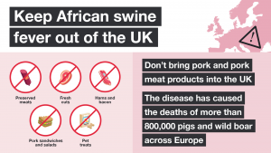 African Swine Fever campaign