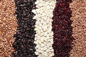 beans pulses fibre