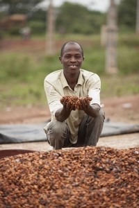 Cocoa farmer Core d'Ivoire Mars