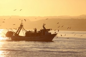 Fishing boat © iStock typhoonski