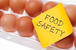 food safety egg_brookebecker 