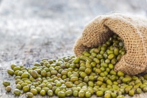 GettyImages-aireowrt - mung beans