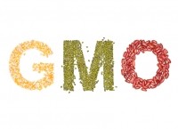 GMO istock