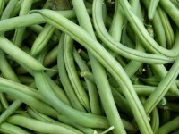 green beans vegetables iStock.com heysooooos