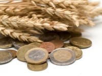 wheat euros trade
