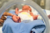 preterm premature baby infant formula probiotics iStock.com Pixelistanbul