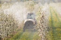 pesticide, insecticide, fruit, chemical, cancer, pest control Droits d'auteur  fotokostic