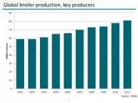 Global broiler production