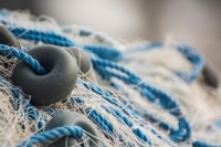 fish fishing net marine sea iStock.com SonerCdem