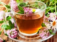botanical herbal tea red clover iStock.com marrakeshh