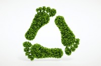 ecology environment footprint sustainability iStock.com Petmal
