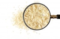Rice food safety grains