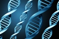DNA-genetics