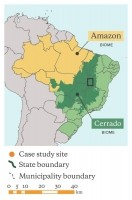 Brazil's Cerrado is a 200m hectare forested savanna © Mighty Earth