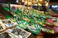 fish market istanbul Copyright Manakin