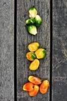 The virescens variety changes from yellow-green to bright orange when ripe, signaling the optimal time for harvest and oil yield.