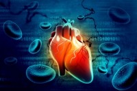 heart cardiovascular inflammation iStock.com HYWARDS