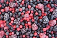 frozen berries brozova